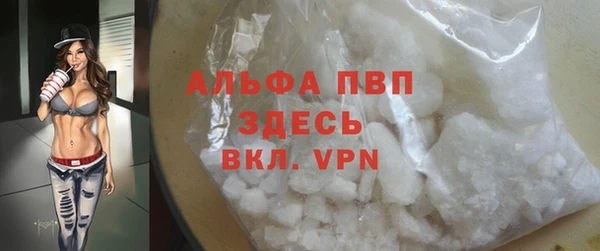 гашик Краснослободск
