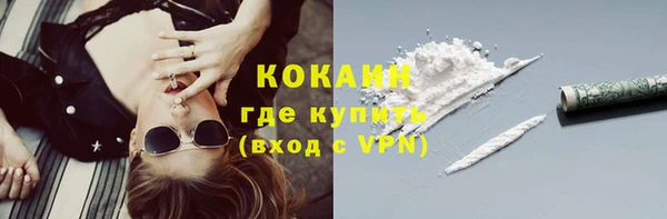 индика Сосновоборск