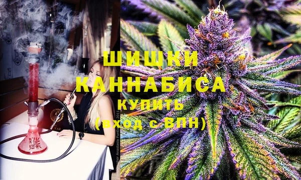шишки Слюдянка